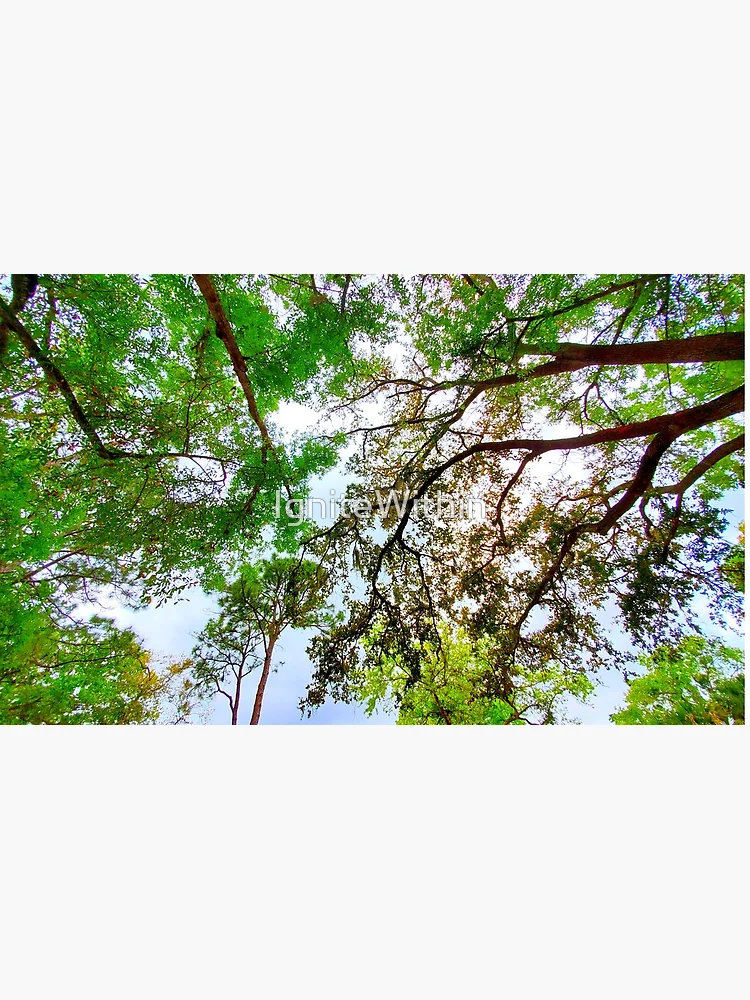 Thumbnail 4 of 4, Coffee Mug, Springtime Tree Canopy designed and sold by IgniteWithin.