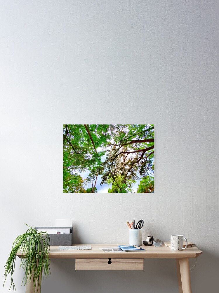 Thumbnail 2 of 3, Poster, Springtime Tree Canopy designed and sold by IgniteWithin.