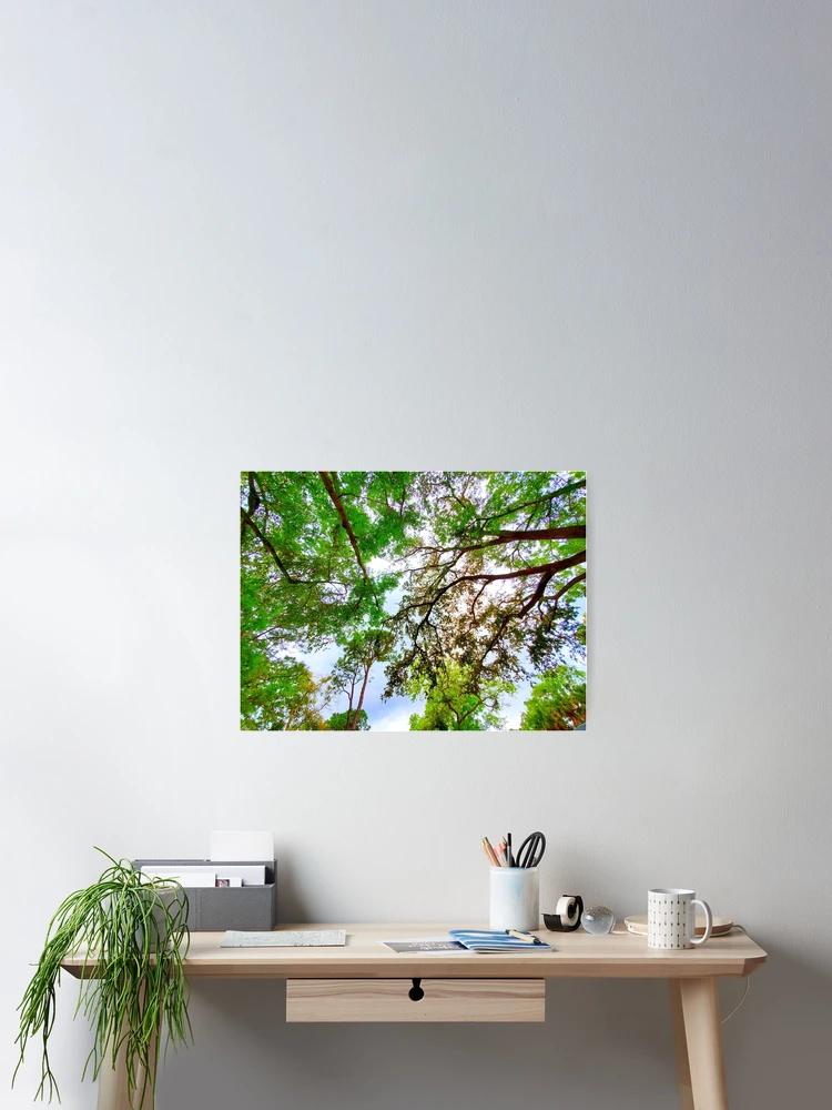 Thumbnail 2 of 3, Poster, Springtime Tree Canopy designed and sold by IgniteWithin.