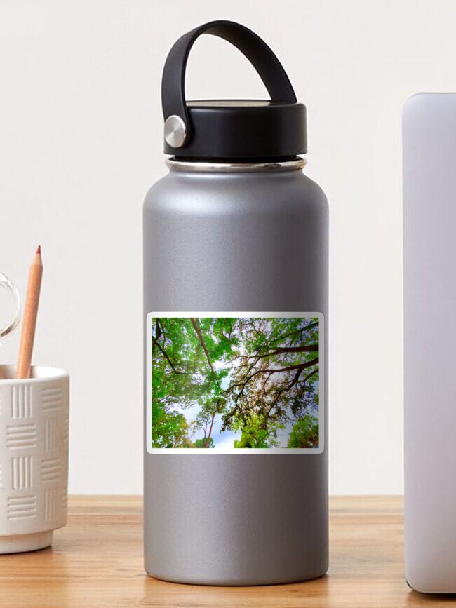 Thumbnail 1 of 3, Sticker, Springtime Tree Canopy designed and sold by IgniteWithin.