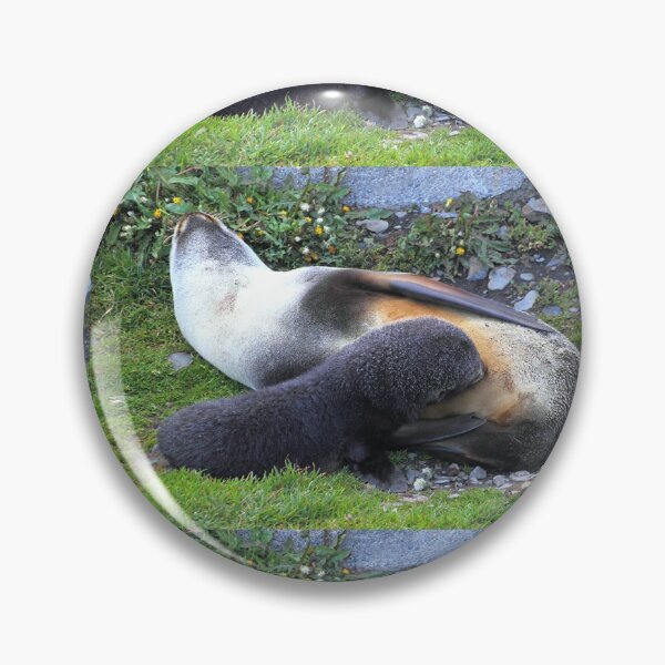 Item preview, Antarctic Fur Seal Mother & Pup designed and sold by Carole-Anne.
