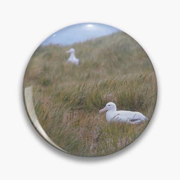 Item preview, Wandering Albatross Nesting designed and sold by Carole-Anne.
