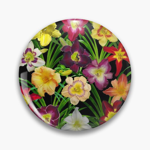 Item preview, Display of Daylilies I - on black designed and sold by rvjames.