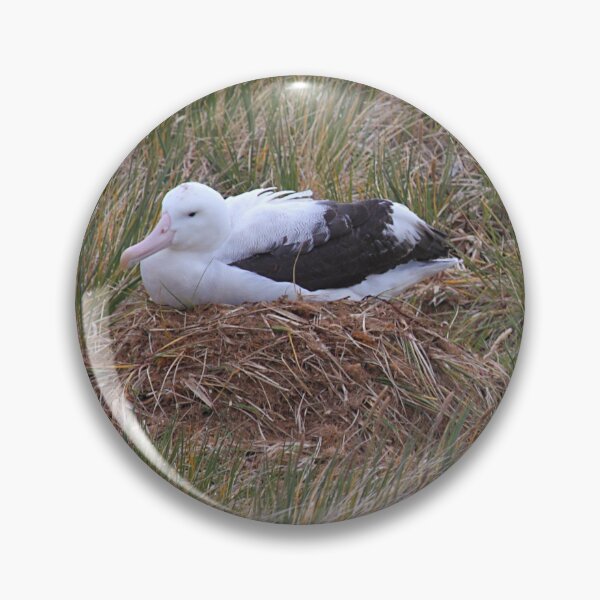 Item preview, Wandering Albatross Nesting designed and sold by Carole-Anne.