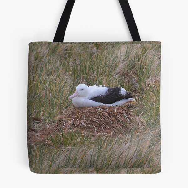Item preview, Wandering Albatross Nesting designed and sold by Carole-Anne.