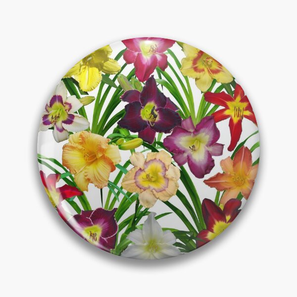 Item preview, Display of Daylilies I - on white designed and sold by rvjames.