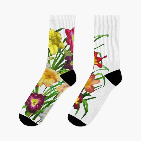 Item preview, Display of Daylilies I - on white designed and sold by rvjames.