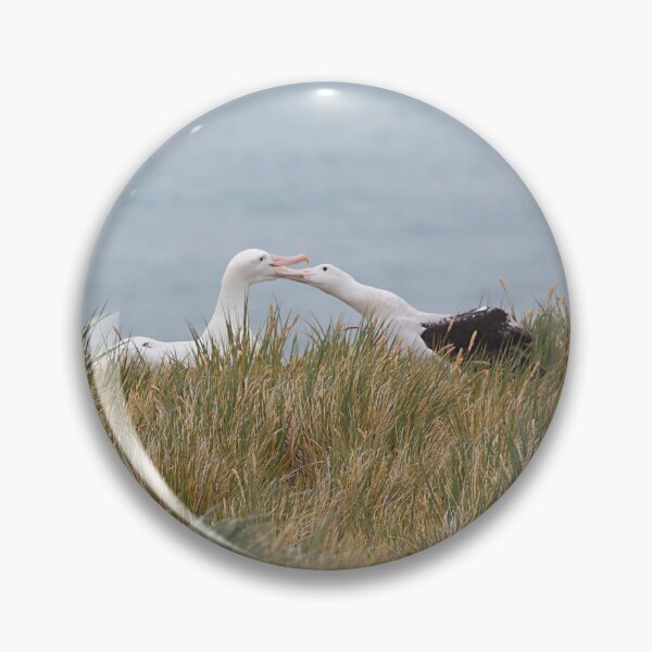 Item preview, Wandering Albatross Pair Bonding designed and sold by Carole-Anne.
