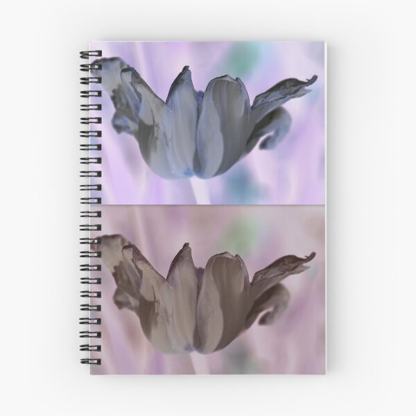 Item preview, Tulip Satina designed and sold by Lozzar Flowers & Art.