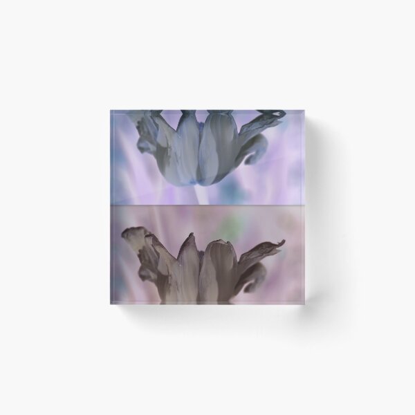 Item preview, Tulip Satina designed and sold by Lozzar Flowers & Art.