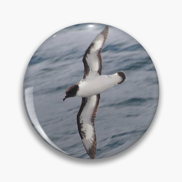 Item preview, Cape Petrel designed and sold by Carole-Anne.