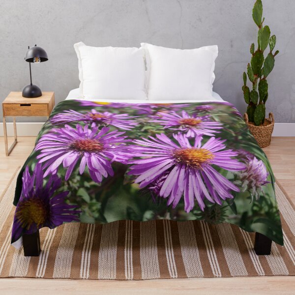 Artikelvorschau, Herbst Amethyst - New England Aster Blumen entworfen und verkauft von rvjames.