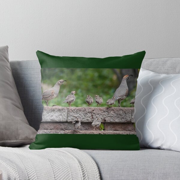 Item preview, A Quail Family Outing designed and sold by MomentofPercep.