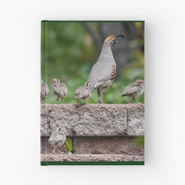 Item preview, A Quail Family Outing designed and sold by MomentofPercep.