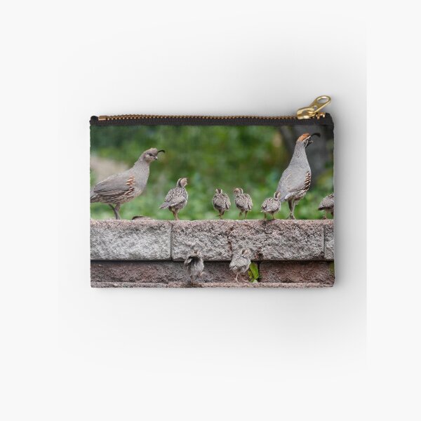 Item preview, A Quail Family Outing designed and sold by MomentofPercep.