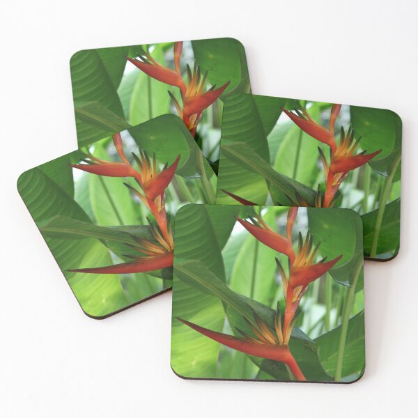 Item preview, Paradise designed and sold by coffeebean.