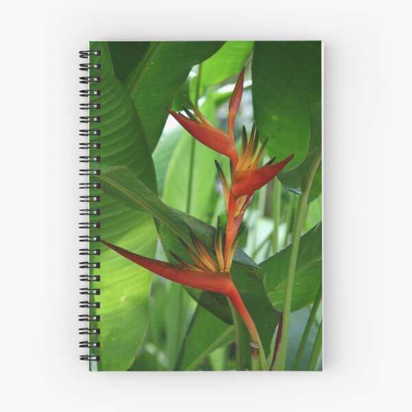 Item preview, Paradise designed and sold by coffeebean.