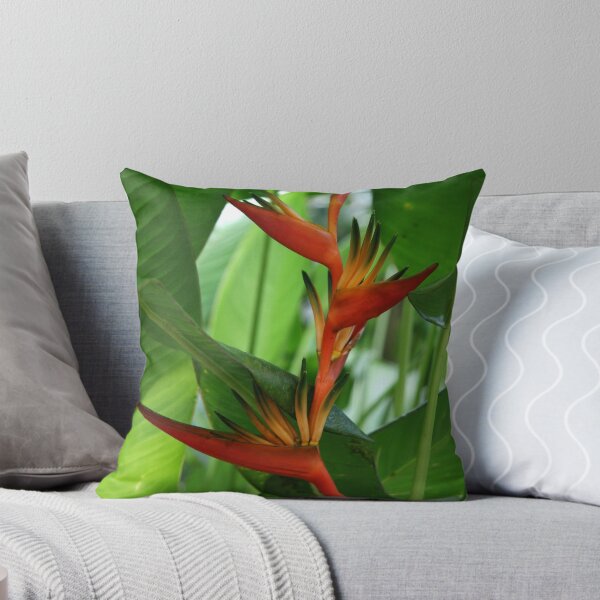 Item preview, Paradise designed and sold by coffeebean.