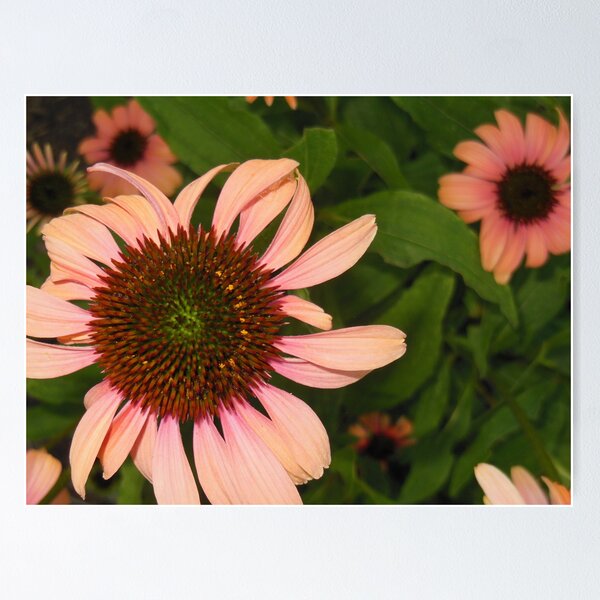 Item preview, Ithaca Plantations V designed and sold by smoocherz1.