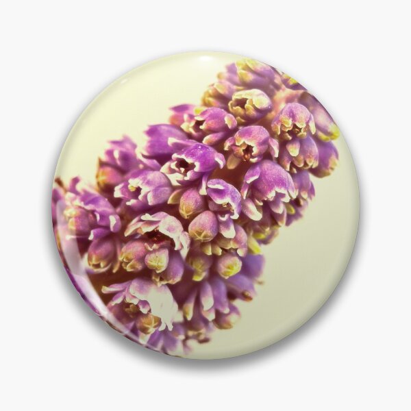 Item preview, Vintage Muscari designed and sold by Caitlyn Grasso.