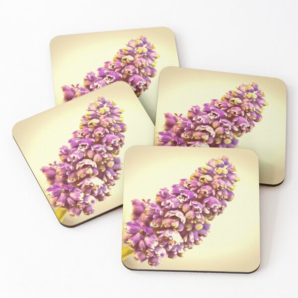 Item preview, Vintage Muscari designed and sold by Caitlyn Grasso.