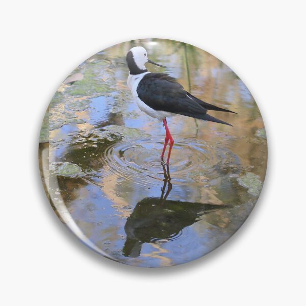Item preview, Black-winged Stilt designed and sold by Carole-Anne.