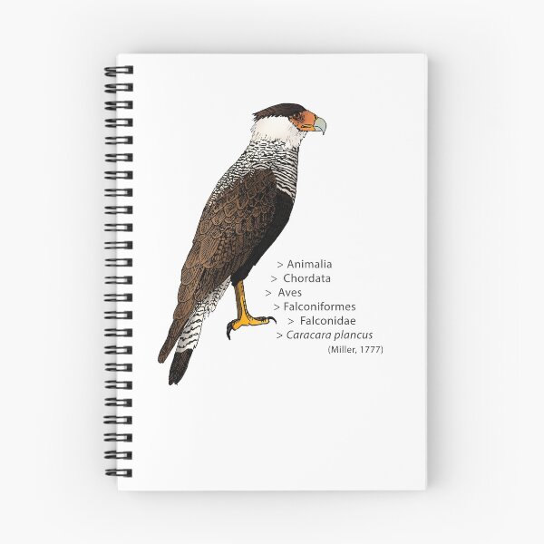 Item preview, Crested Caracara designed and sold by Callado.