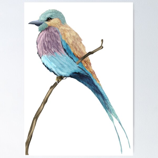 Item preview, Lilac Breasted roller designed and sold by Cholakos.