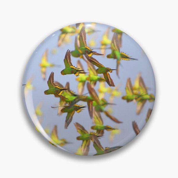 Item preview, Budgerigars  designed and sold by Carole-Anne.