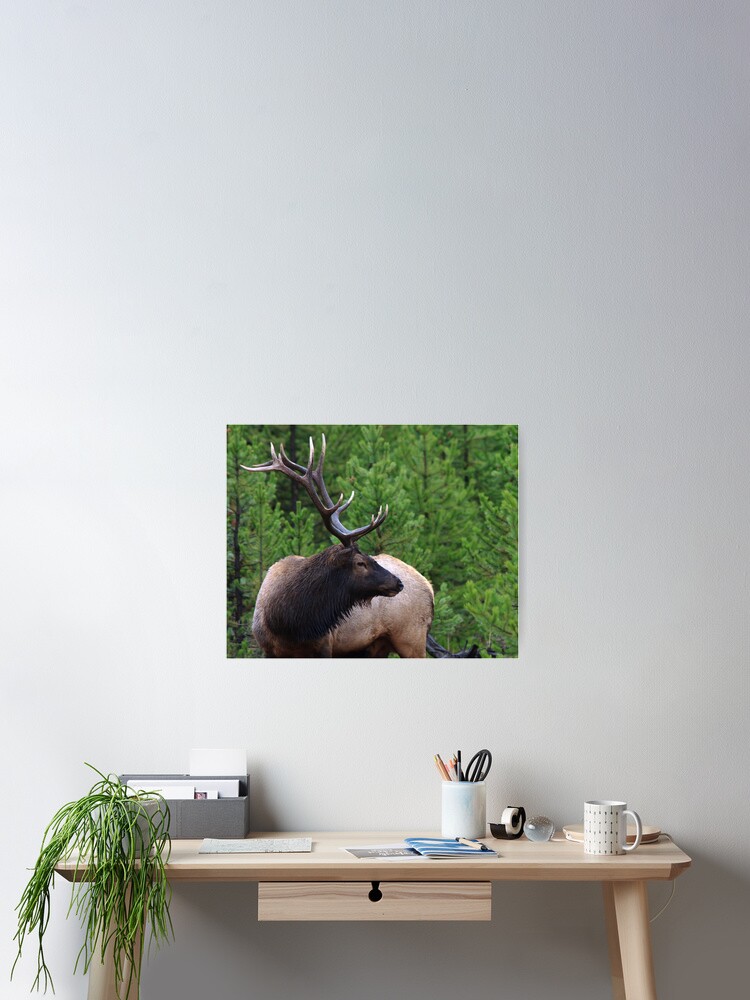 Thumbnail 2 of 3, Poster, Intensity designed and sold by WorldDesign.