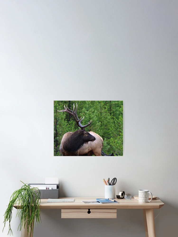 Thumbnail 2 of 3, Poster, Intensity designed and sold by WorldDesign.