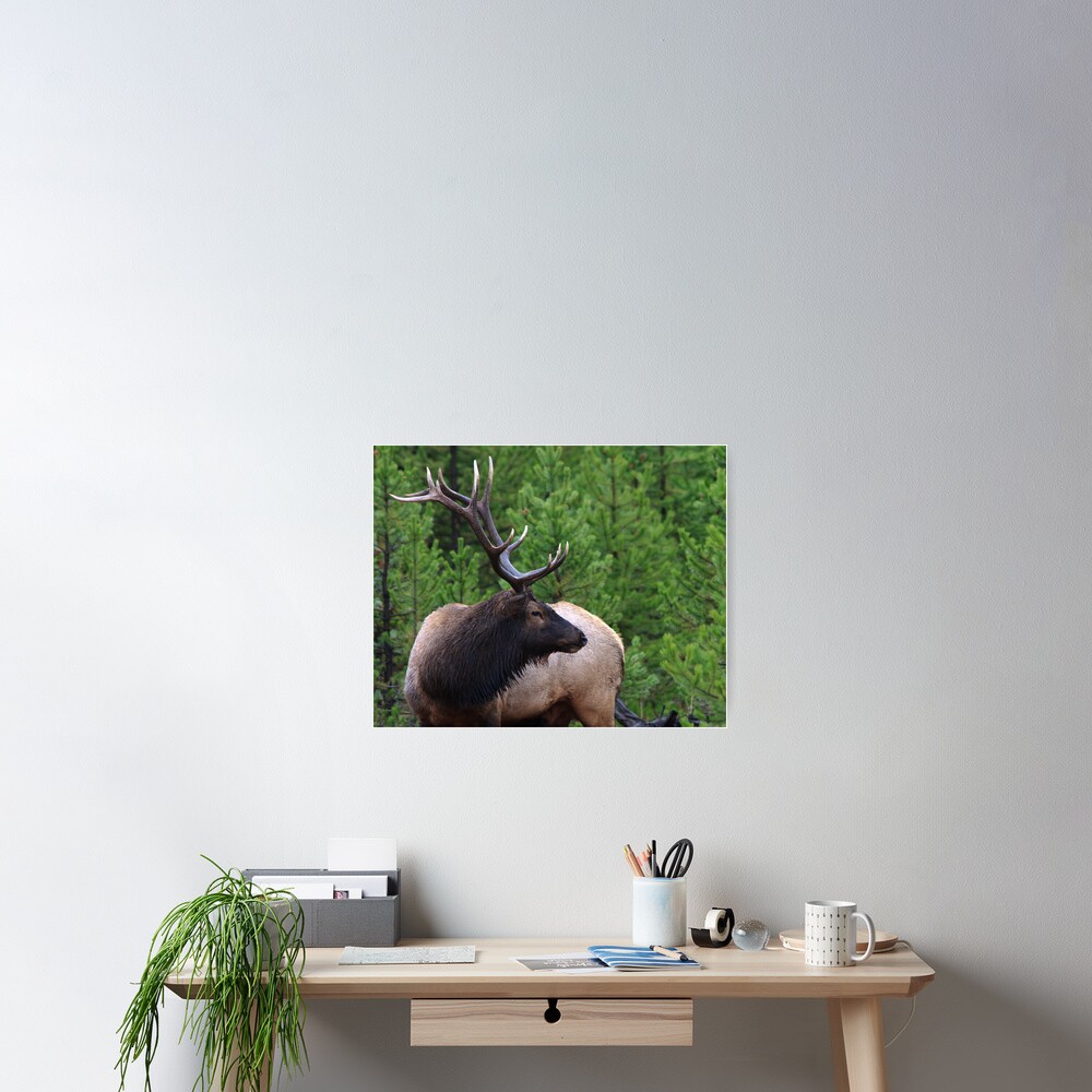 Item preview, Poster designed and sold by WorldDesign.