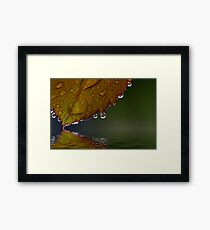 Slightest Touch Framed Print