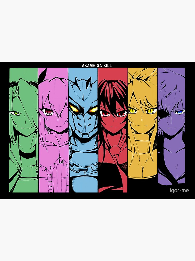 Akame Ga Kill Characters' Poster, picture, metal print, paint by PRAM ON  FIRE