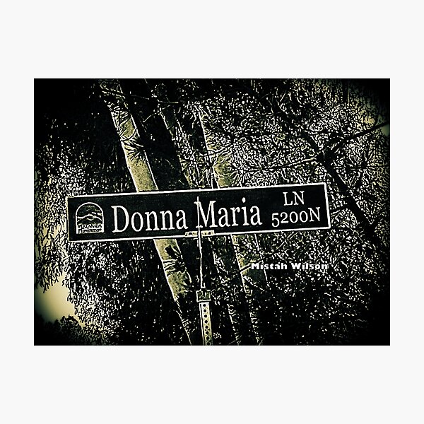 Item preview, Donna Maria Lane, La Cañada Flintridge, CA by Mistah Wilson designed and sold by The Street Sign Store.