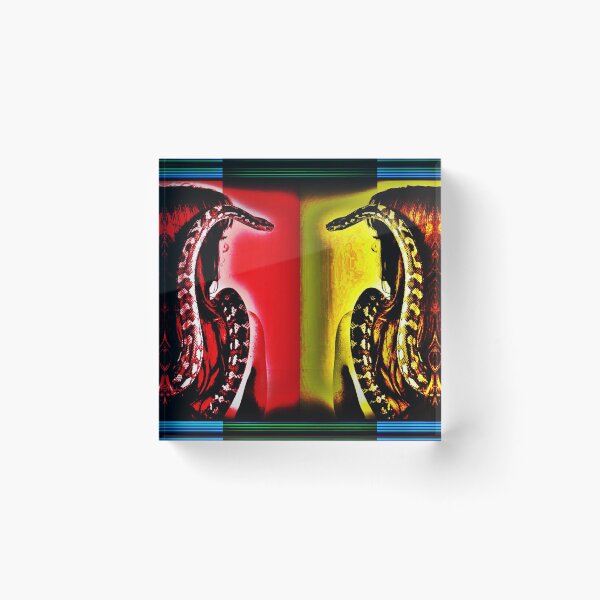Item preview, snake charmer visualized then symbolized designed and sold by charliethetramp.