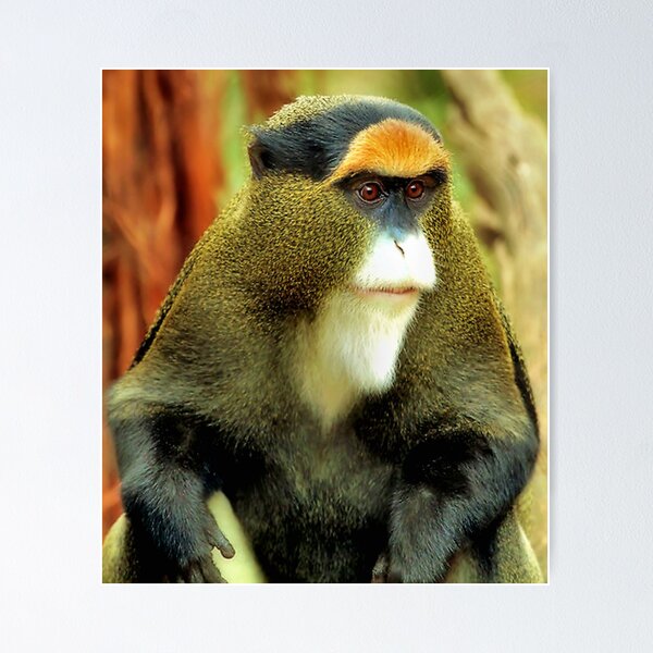 Item preview, Debrazza's Monkey, With An Attitude designed and sold by SuddenJim.