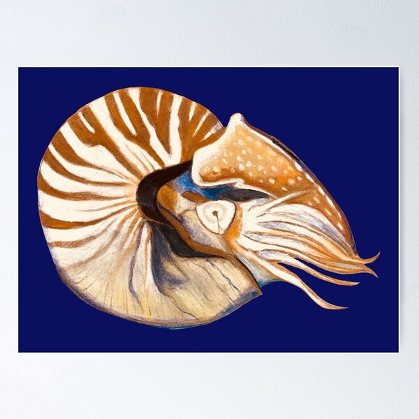 Item preview, Nautilus  designed and sold by AzureArtist.