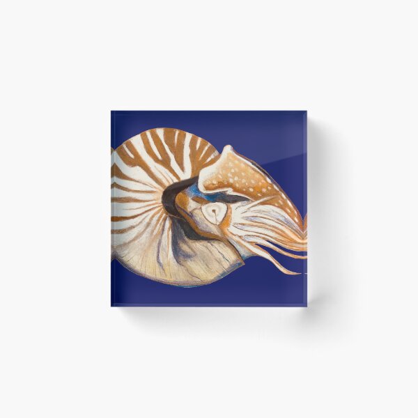 Item preview, Nautilus  designed and sold by AzureArtist.