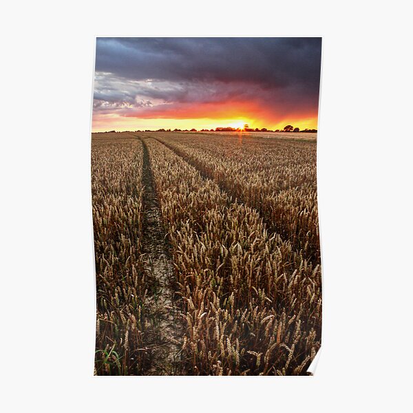 Sunset Through The Rain, Essex Poster