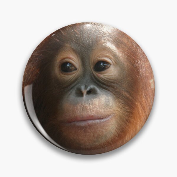 Item preview, Cute baby orangutan. designed and sold by mollykaban.