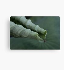 cardio ~ vascular Canvas Print