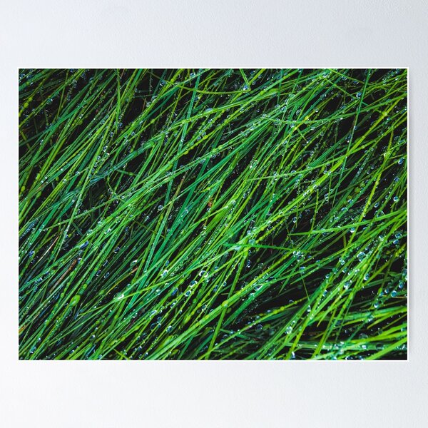 Item preview, green grass texture background with water drop designed and sold by Mrvell.