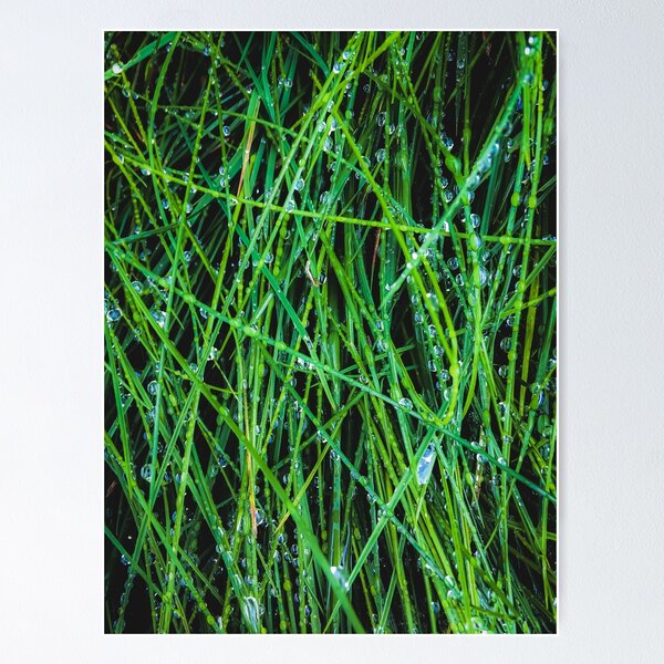 Item preview, closeup green grass field texture with raindrops designed and sold by Mrvell.