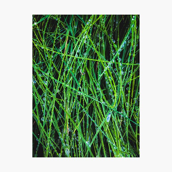 Item preview, closeup green grass field texture with raindrops designed and sold by Mrvell.
