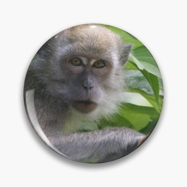 Item preview, Cheeky monkey! designed and sold by mollykaban.