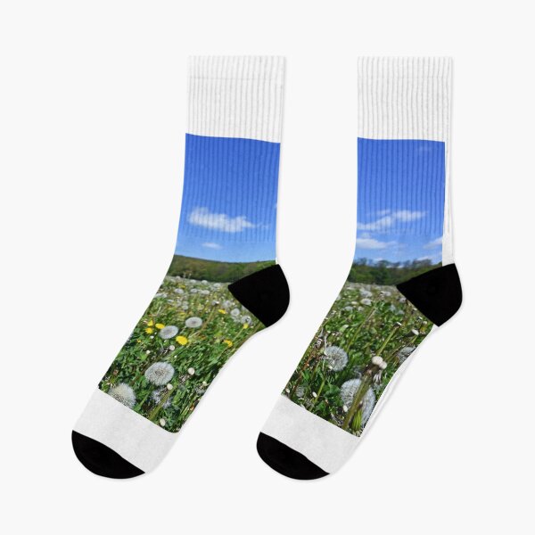 Item preview, dandelion meadow in spring landscape designed and sold by goceris.