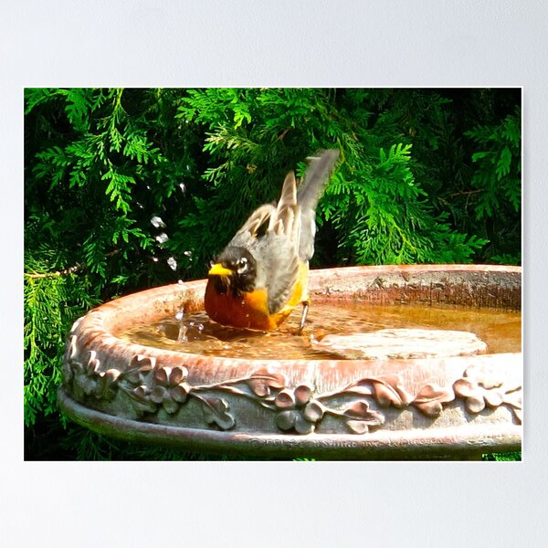 Item preview, Cooling off on a hot summer's day designed and sold by MarianBendeth.