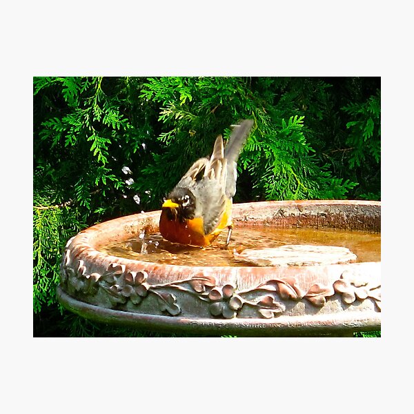Item preview, Cooling off on a hot summer's day designed and sold by MarianBendeth.