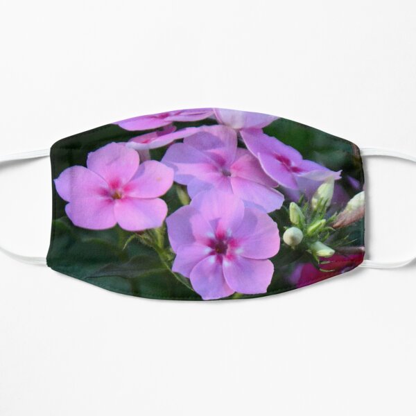 Reflection Flat Mask